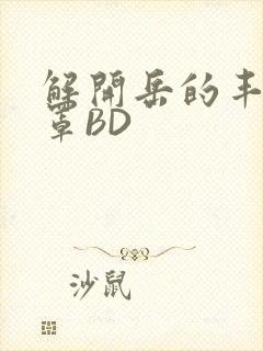 解开岳的丰满奶罩BD