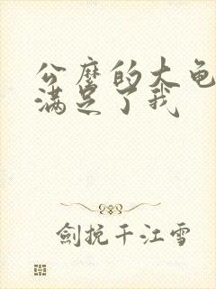 公么的大龟强大满足了我