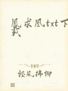 凤求凰txt下载