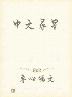 中文寻星封面