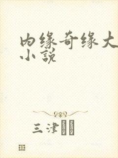 内缘奇缘大团圆小说封面