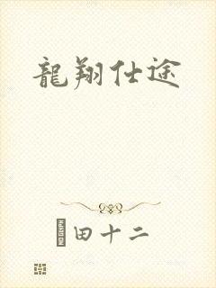 龙翔仕途