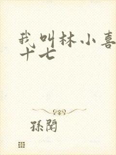 我叫林小喜今年十七