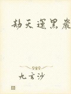 劫天运黑岩