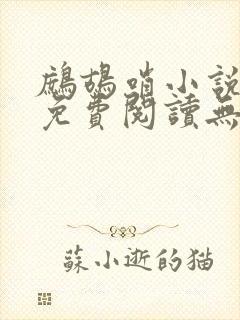 鹧鸪哨小说网站免费阅读无弹窗