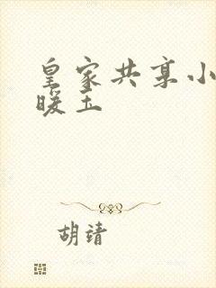 皇家共享小公主暖玉封面