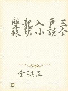 双龙入户三人行苏玥小说全文阅读