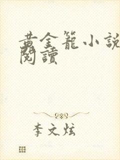 黄金笼小说免费阅读封面