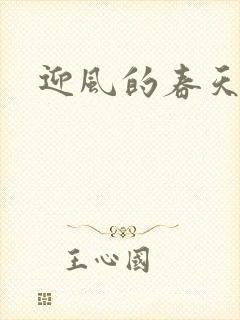 迎风的春天封面