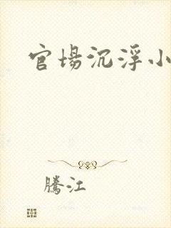 官场沉浮小说