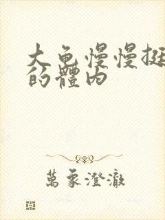 大龟慢慢挺进我的体内
