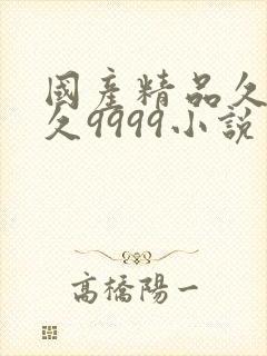 国产精品久久久久9999小说