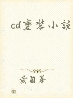 cd变装小说