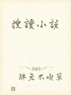 搜读小说