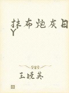 抹布炮灰日记BY封面