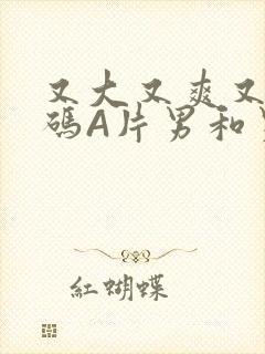 又大又爽又黄无码A片男和男