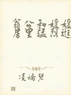 翁公和媛媛在厨房里猛烈进出
