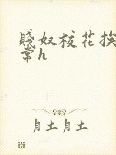 贱奴校花挨脔日常h