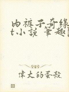 内裤子奇缘txt小说 笔趣阁