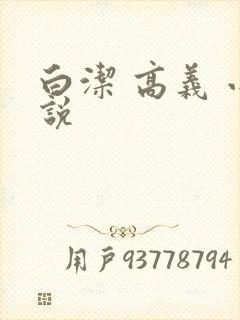 白洁 高义 小说封面