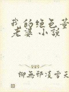 我的绝色董事长老婆 小说