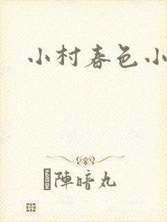 小村春色小说