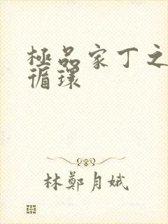极品家丁之因果循环封面
