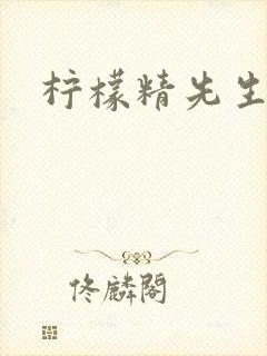 柠檬精先生封面