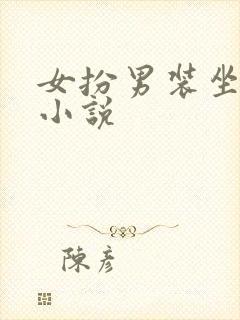 女扮男装坐江山小说