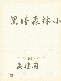 黑暗森林小说封面