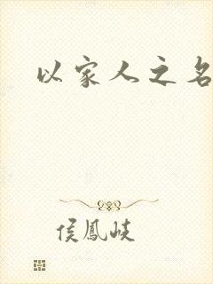 以家人之名小说