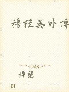 穆桂英外传
