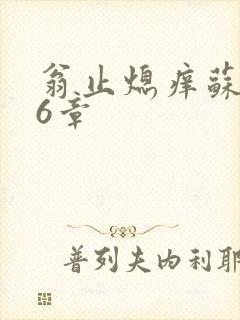 翁止熄痒苏玥第6章