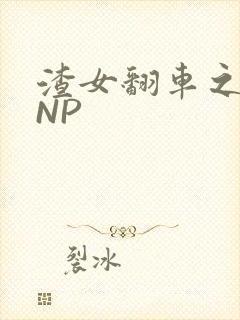 渣女翻车之后 NP封面