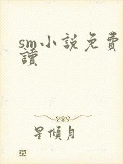 sm小说免费阅读封面
