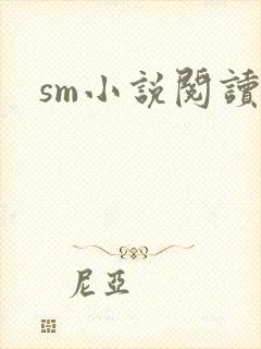 sm小说阅读封面