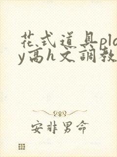 花式道具play高h文调教