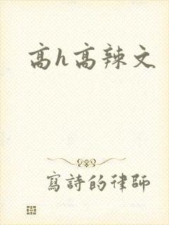 高h高辣文
