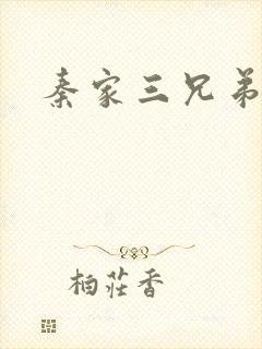 秦家三兄弟