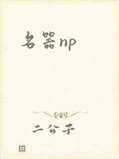 名器np