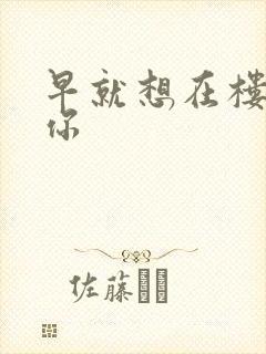 早就想在楼梯要你