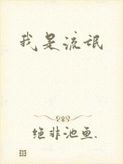 我是流氓封面