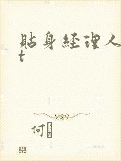 贴身经理人txt