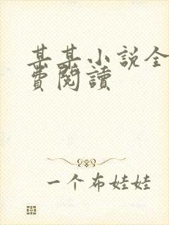 某某小说全文免费阅读