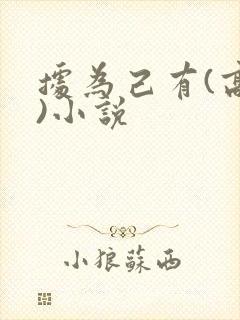 据为己有(高干)小说