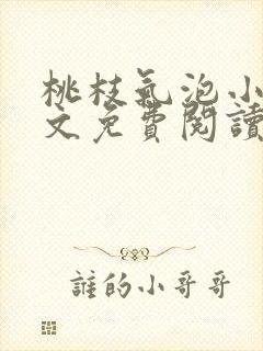 桃枝气泡小说全文免费阅读