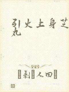 引火上身芝麻糖丸