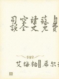 司空靖苏月汐小说全文免费阅读
