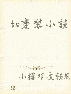 ts变装小说
