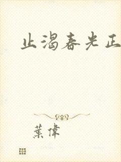 止渴春光正好封面
